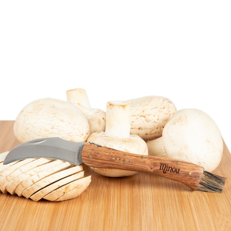 Cueillir des champignons : Couteau à champignon et son étui - 10,90 €