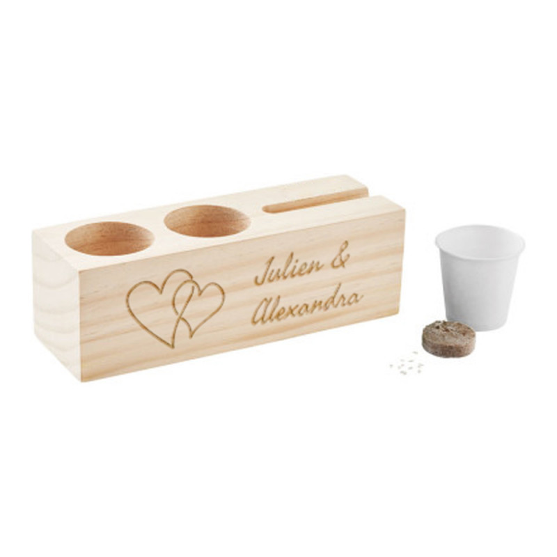 Station de multiplication des plantes, Cadeaux pour femmes, Jardinière de  décoration de jardin de bureau à domicile