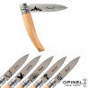 Couteau Jardin Opinel design nature personnalisable