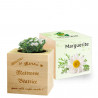 Ecocube marguerite maitresse personnalisé