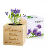 Ecocube violette maitresse personnalisé