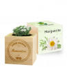 Cube marguerite personnalisé pour maman