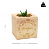 Taille du cube plante bois pour maman