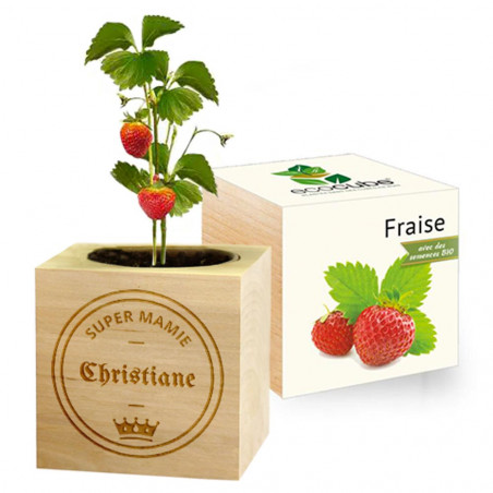 Ecocube fraise mamie personnalisé