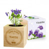 Ecocube violette mamie personnalisé