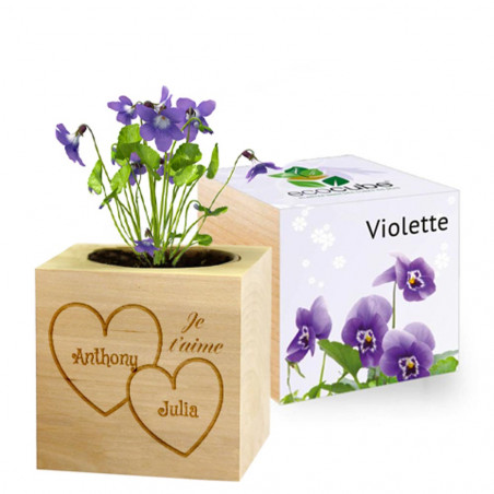 Eco cube Violette Saint valentin personnalisé