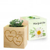 Eco cube marguerite Saint valentin personnalisé