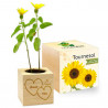 Eco cube tournesol Saint valentin personnalisé