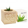 Eco cube aloé vera Saint valentin personnalisé