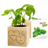 Eco cube basilic Saint valentin personnalisé