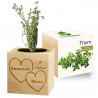 Eco cube thym Saint valentin personnalisé