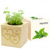 Eco cube menthe Saint valentin personnalisé