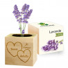 Eco cube lavande Saint valentin personnalisé