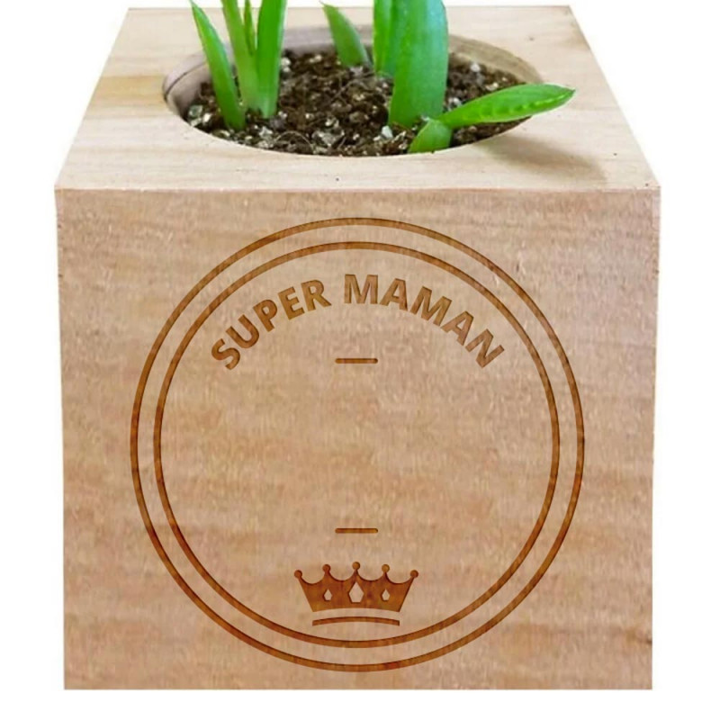 Cube plante bois personnalisé pour maman